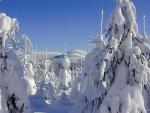 Harrachov
