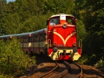 Zuba�ka Ko�enov - Harrachov - Zahnradbahn (foto 10)